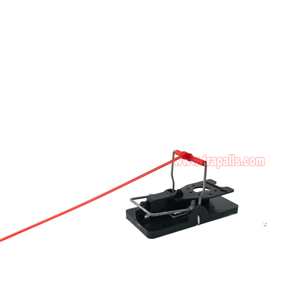 Indoor Warehouse Quick Humane Catcher Spring Trigger Mechanism Reusable Rodent Control Mouse Snap Trap - Image 10