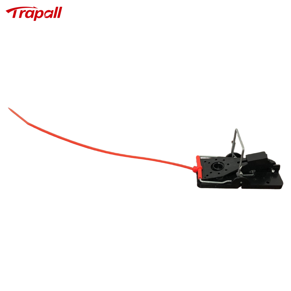 Indoor Warehouse Quick Humane Catcher Spring Trigger Mechanism Reusable Rodent Control Mouse Snap Trap