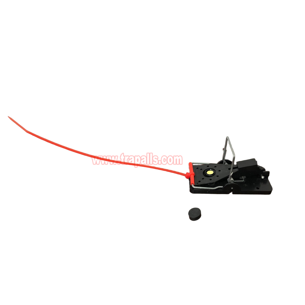 Indoor Warehouse Quick Catcher Spring Trigger Mechanism Reusable Rodent Control with Bait Mouse Snap Trap - Image 2
