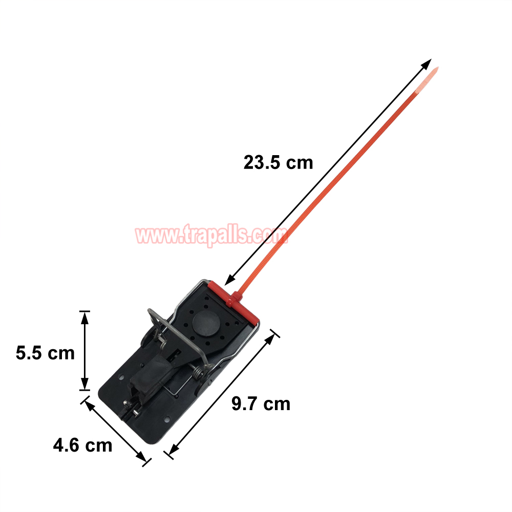 Indoor Warehouse Quick Catcher Spring Trigger Mechanism Reusable Rodent Control with Bait Mouse Snap Trap - Image 3
