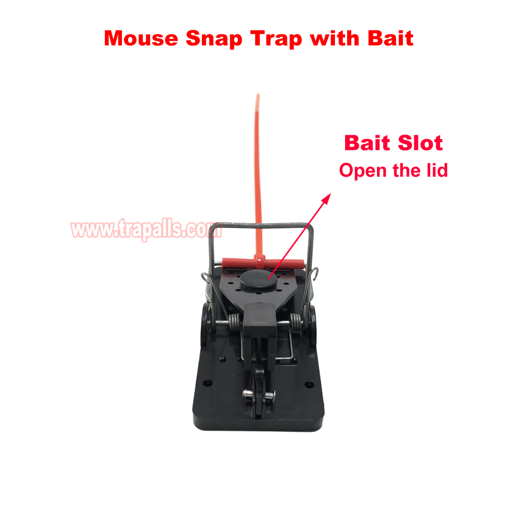 Indoor Warehouse Quick Catcher Spring Trigger Mechanism Reusable Rodent Control with Bait Mouse Snap Trap - Image 4