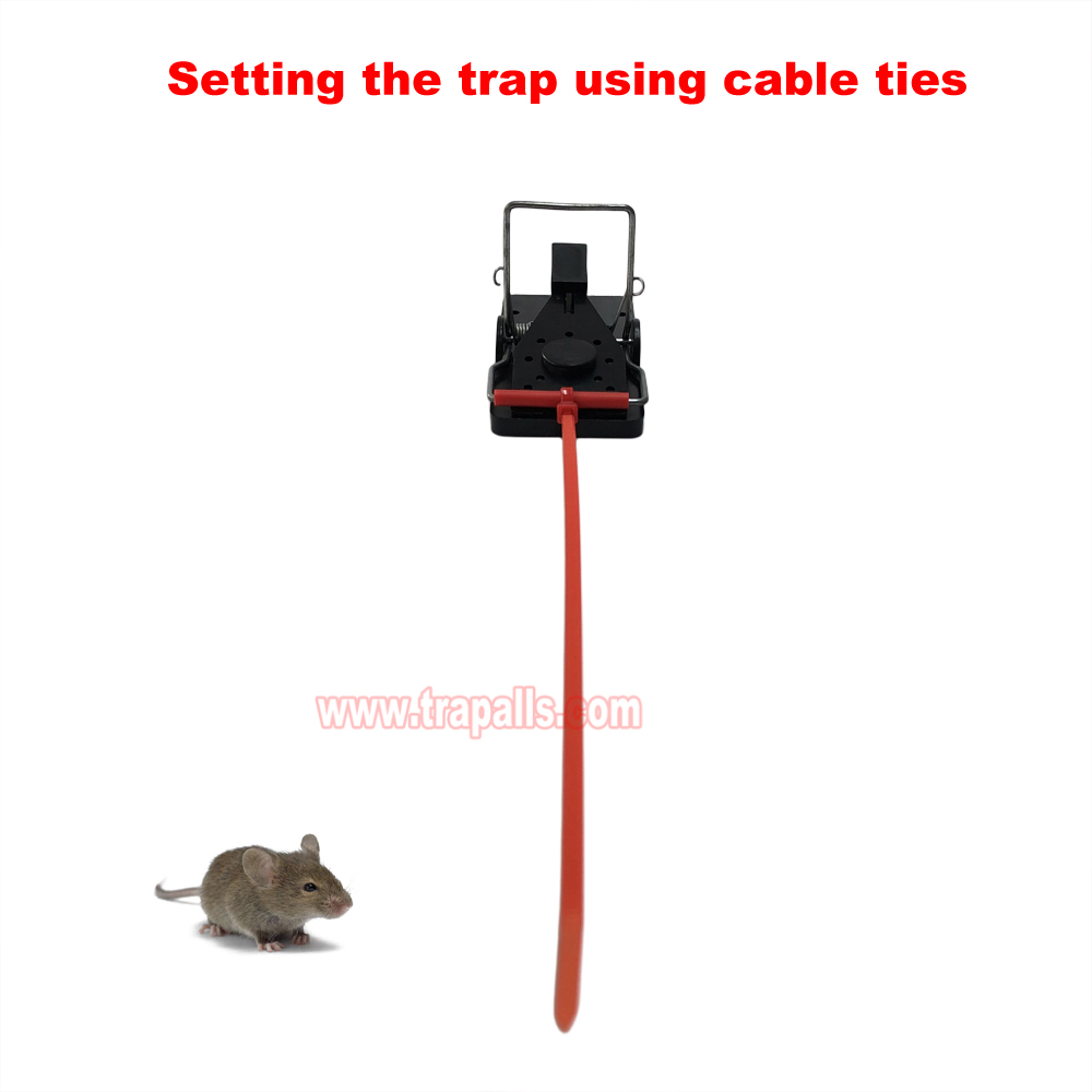 Indoor Warehouse Quick Catcher Spring Trigger Mechanism Reusable Rodent Control with Bait Mouse Snap Trap - Image 5