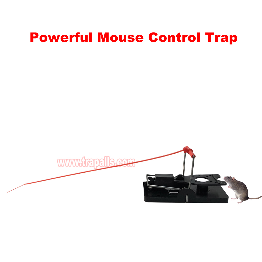 Indoor Warehouse Quick Catcher Spring Trigger Mechanism Reusable Rodent Control with Bait Mouse Snap Trap - Image 6