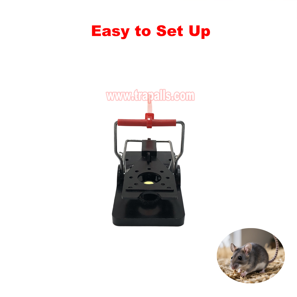 Indoor Warehouse Quick Catcher Spring Trigger Mechanism Reusable Rodent Control with Bait Mouse Snap Trap - Image 7