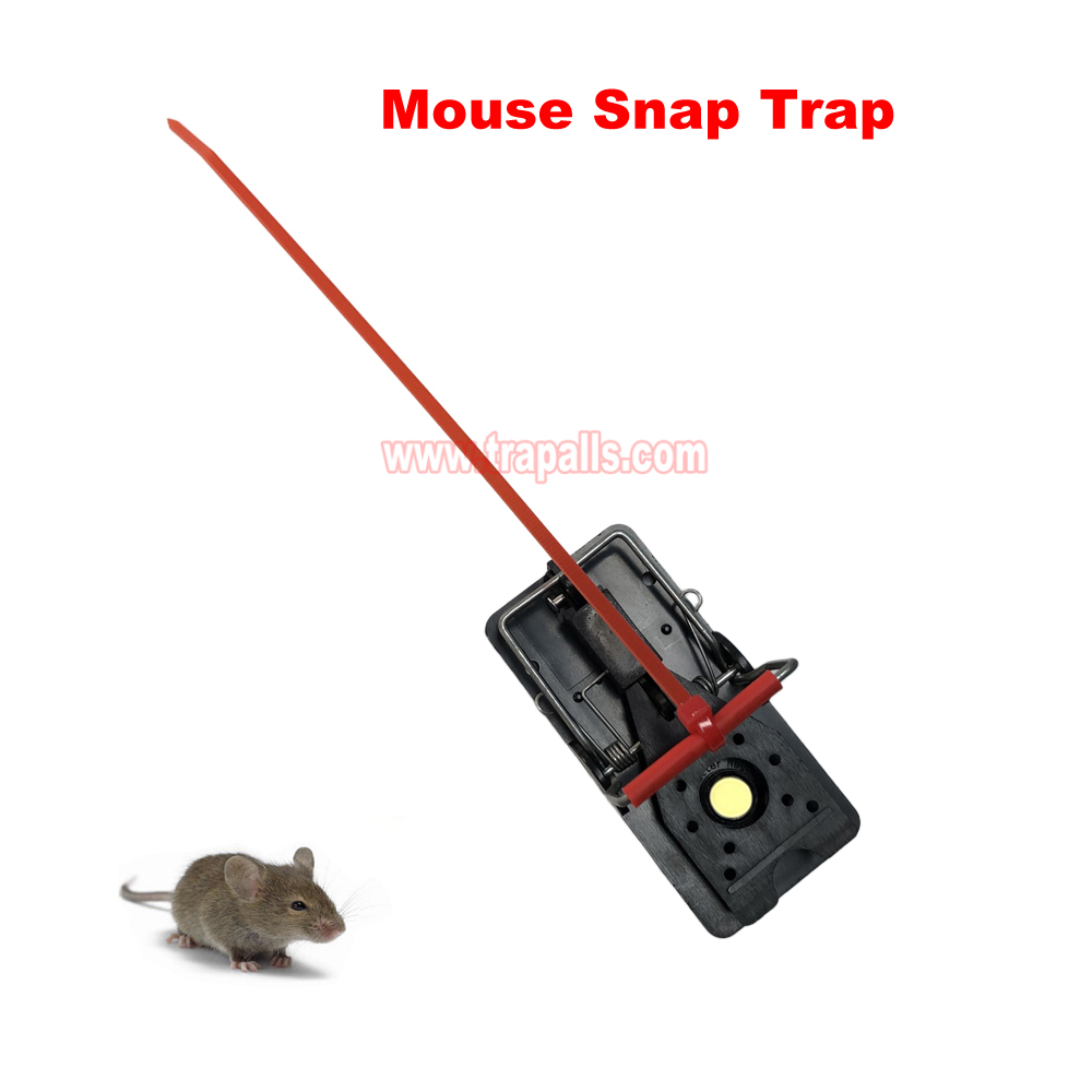 Indoor Warehouse Quick Catcher Spring Trigger Mechanism Reusable Rodent Control with Bait Mouse Snap Trap - Image 8