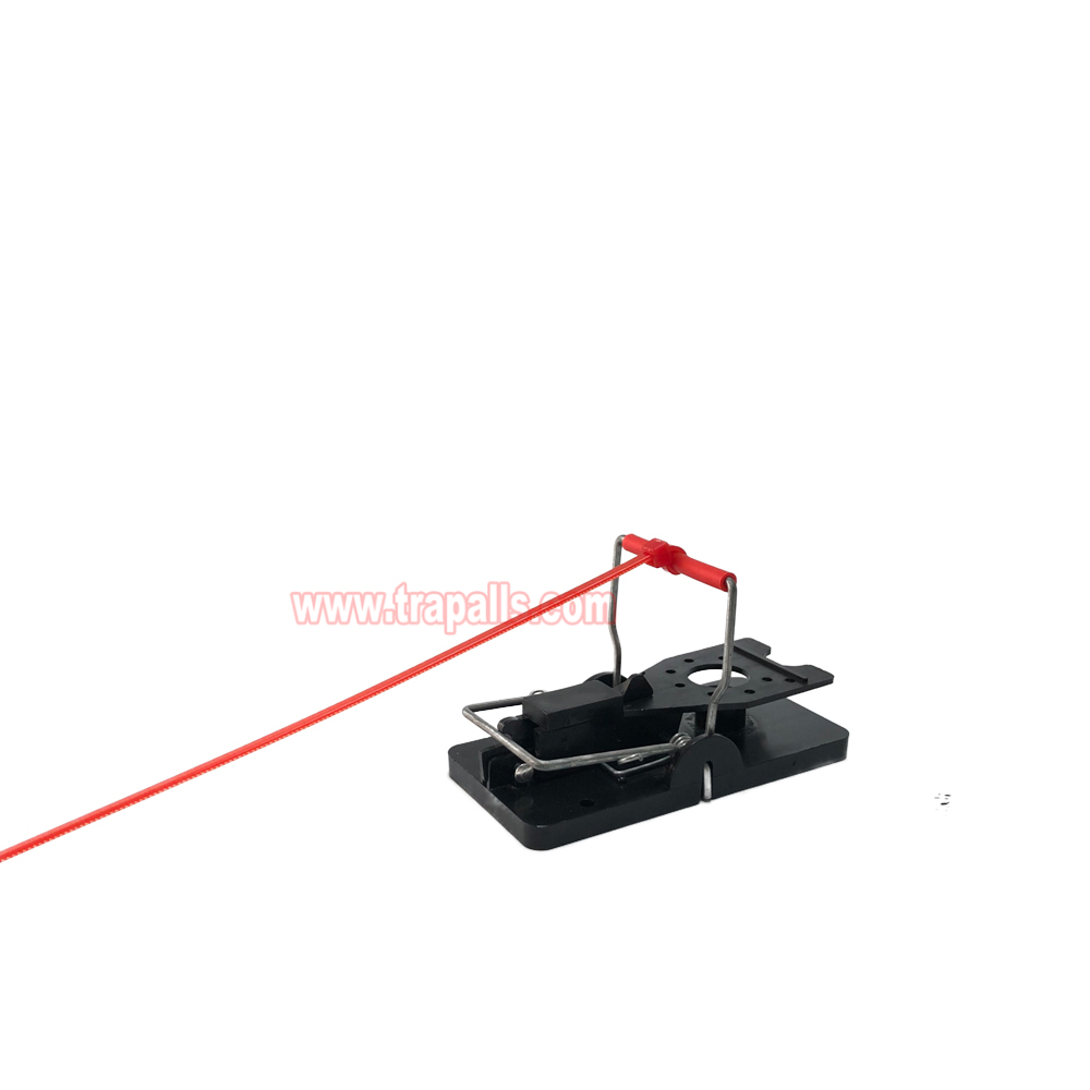 Indoor Warehouse Quick Catcher Spring Trigger Mechanism Reusable Rodent Control with Bait Mouse Snap Trap - Image 10
