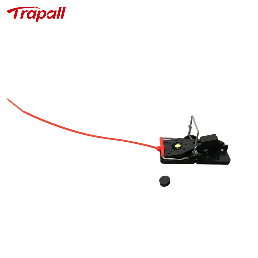 Indoor Warehouse Quick Catcher Spring Trigger Mechanism Reusable Rodent Control with Bait Mouse Snap Trap