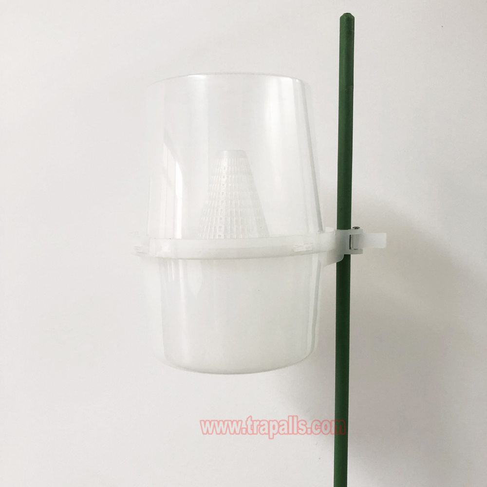 Organic Farming Pest Control for Paddy Field Bait Rice Stem Borer Trap Chilo Suppressalis Pheromone Lure Trap - Image 2