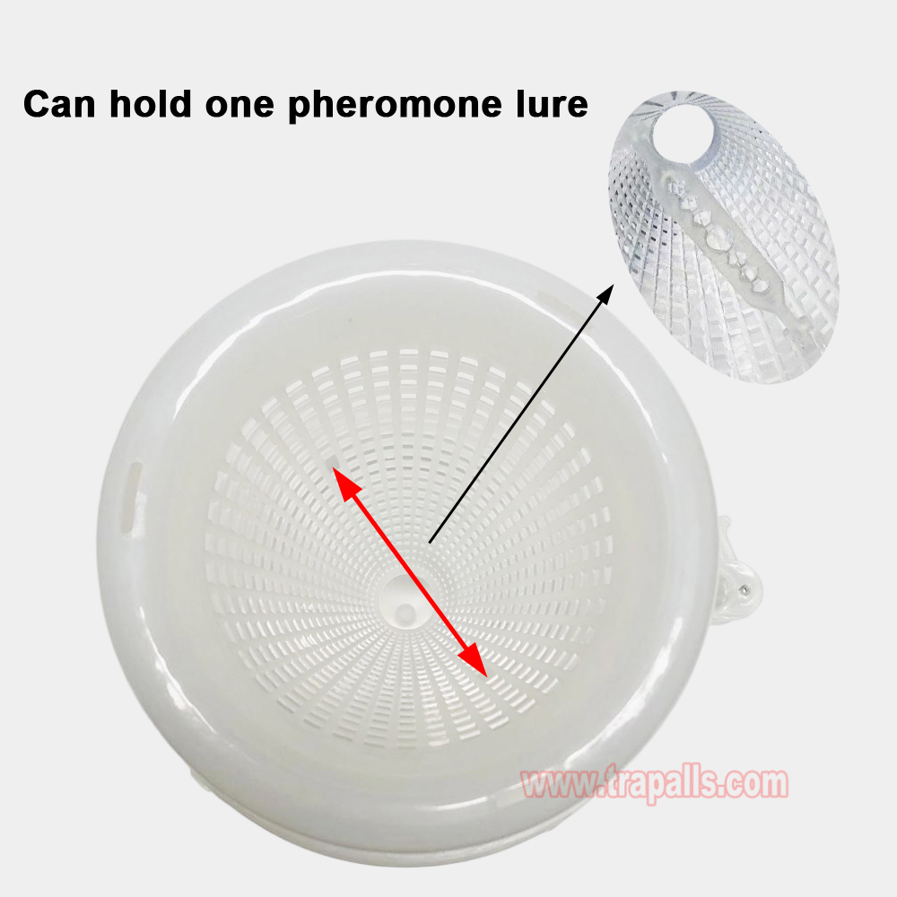 Organic Farming Pest Control for Paddy Field Bait Rice Stem Borer Trap Chilo Suppressalis Pheromone Lure Trap - Image 4