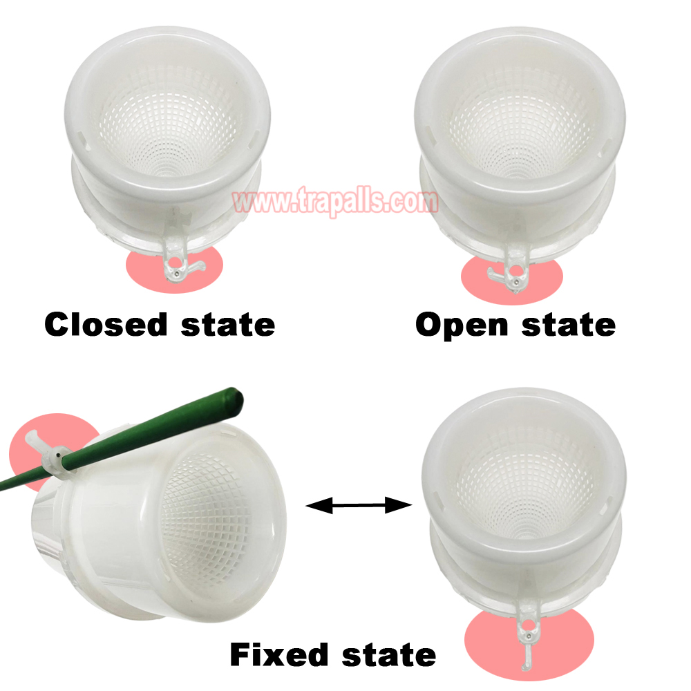 Organic Farming Pest Control for Paddy Field Bait Rice Stem Borer Trap Chilo Suppressalis Pheromone Lure Trap - Image 6