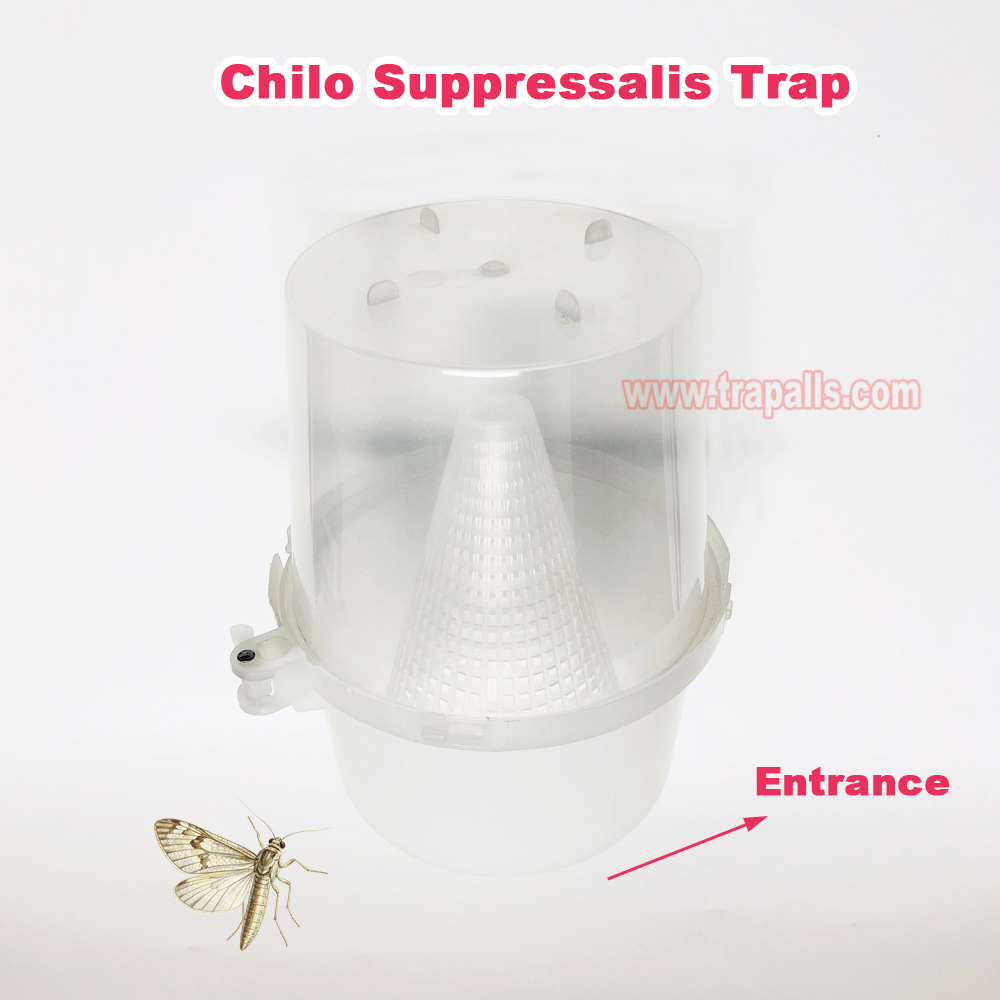 Organic Farming Pest Control for Paddy Field Bait Rice Stem Borer Trap Chilo Suppressalis Pheromone Lure Trap - Image 8