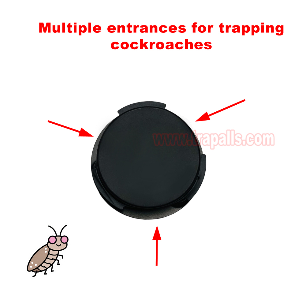 Indoor Kitchen Reusable Multiple Entrances Pest Control Roach Trap Cockroach Bait Station - Image 6