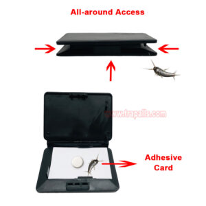 Indoor Floor Portable Glue Pest Control Trap Silverfish Bait Sticky Card Silverfish Trap - Image 5