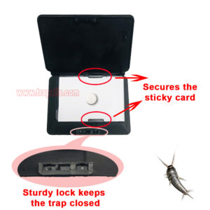 Indoor Floor Portable Glue Pest Control Trap Silverfish Bait Sticky Card Silverfish Trap - Image 9