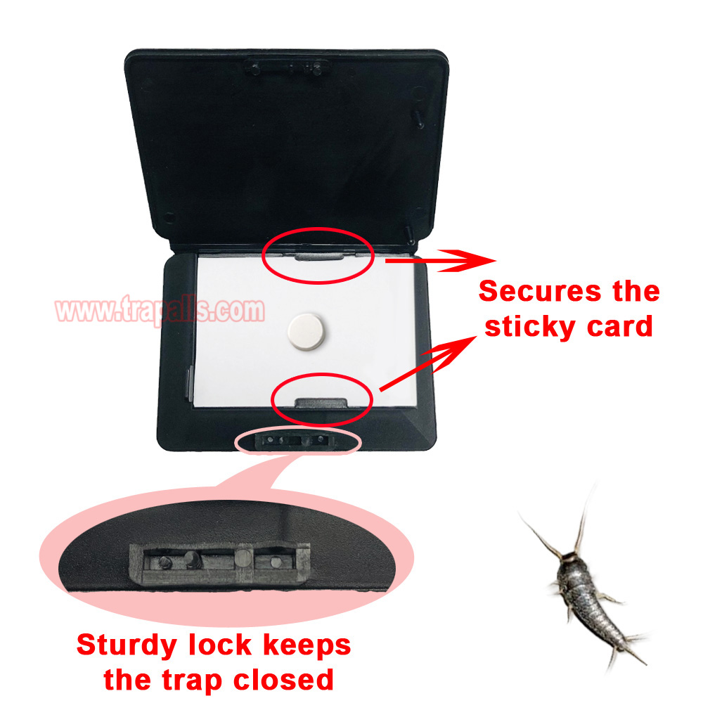Indoor Floor Portable Glue Pest Control Trap Silverfish Bait Sticky Card Silverfish Trap - Image 9