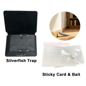 Indoor Floor Portable Glue Pest Control Trap Silverfish Bait Sticky Card Silverfish Trap - Image 10