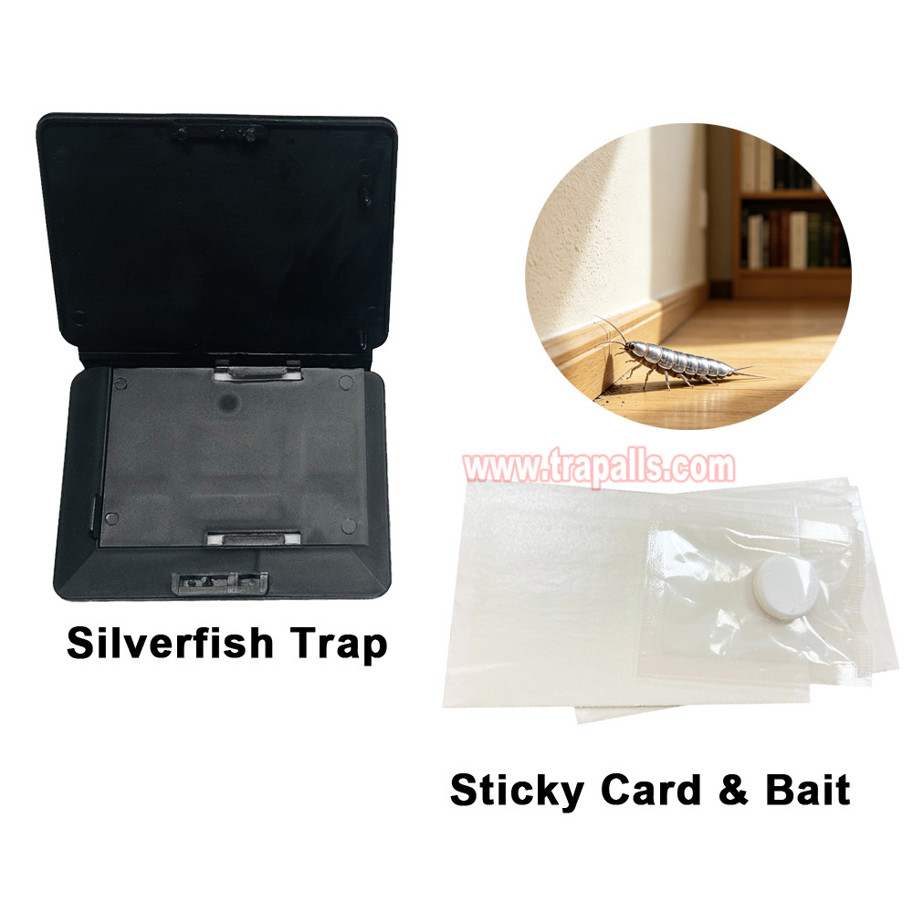 Indoor Floor Portable Glue Pest Control Trap Silverfish Bait Sticky Card Silverfish Trap - Image 10
