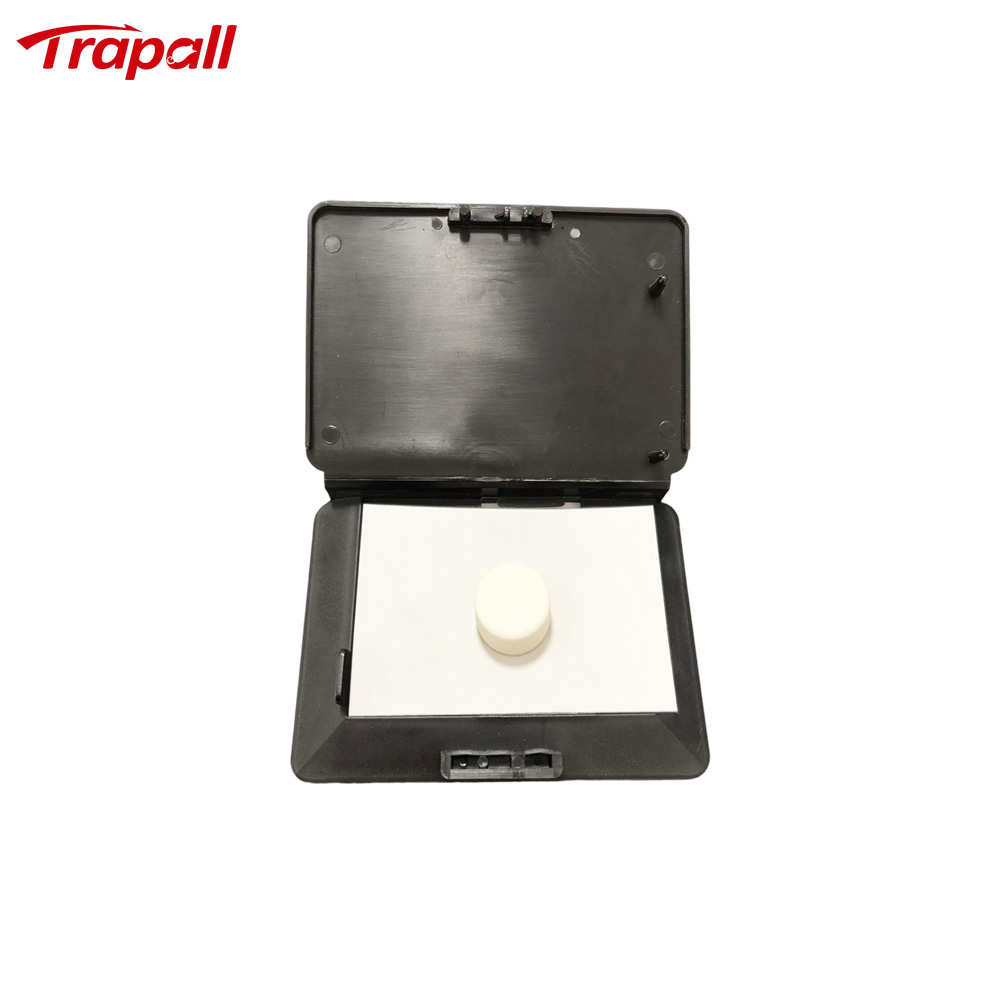 Indoor Floor Portable Glue Pest Control Trap Silverfish Bait Sticky Card Silverfish Trap