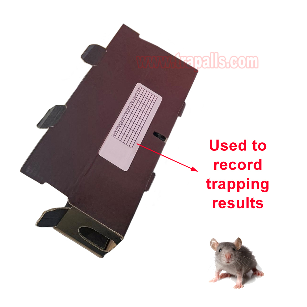 Indoor Warehouse Compatible with Snap Traps Glue Boards Tunnel Rodent Box Cardboard Mouse Bait Station - Image 11