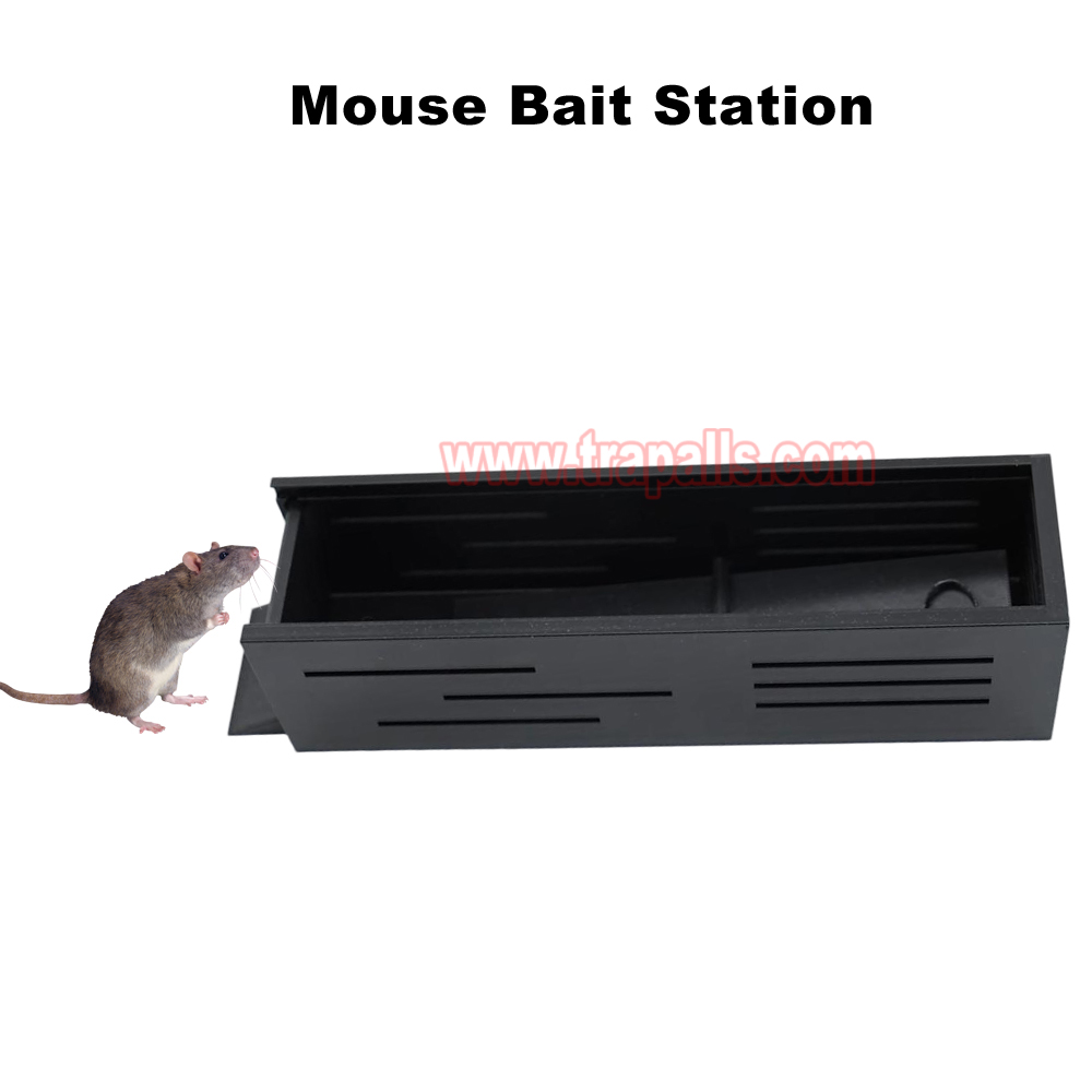 Indoor Warehouse Eco-Friendly Mice Trap with See Saw Mechanism Humane Live Catch Release Mouse Trap - Image 11