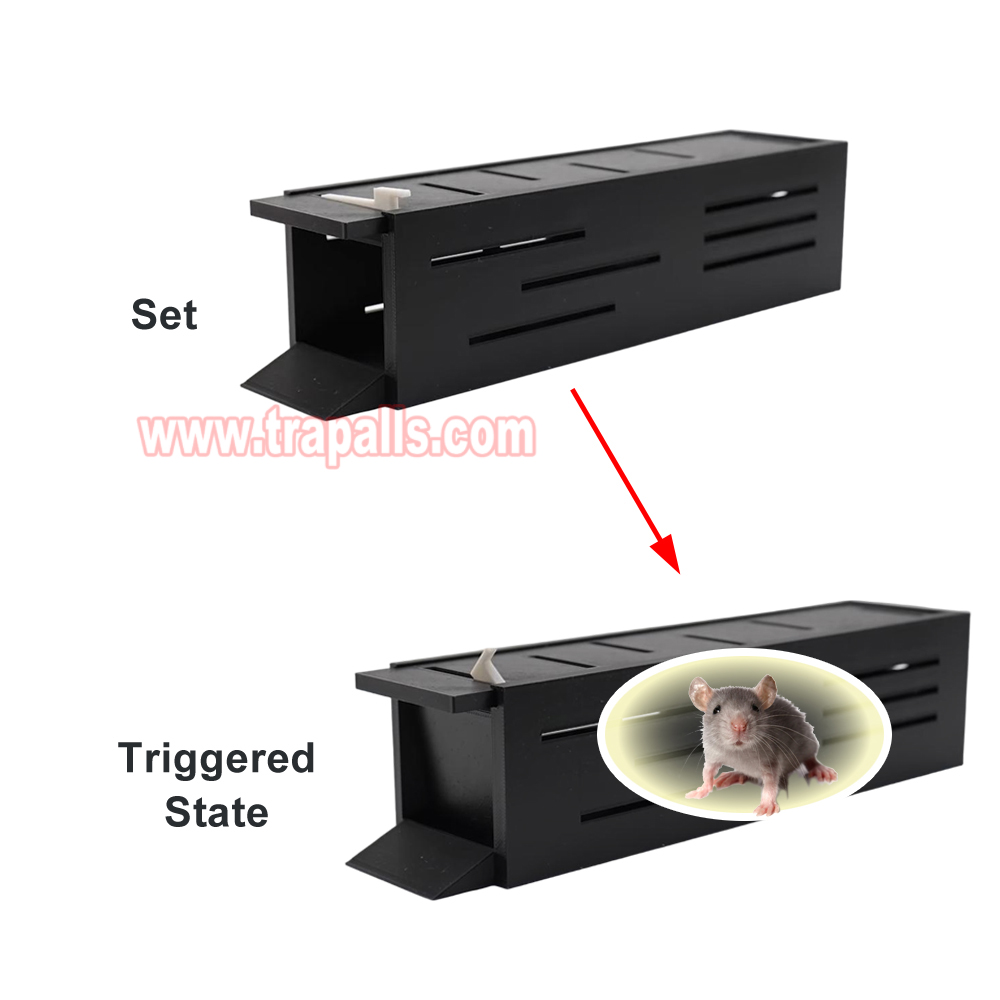 Indoor Warehouse Eco-Friendly Mice Trap with See Saw Mechanism Humane Live Catch Release Mouse Trap - Image 4