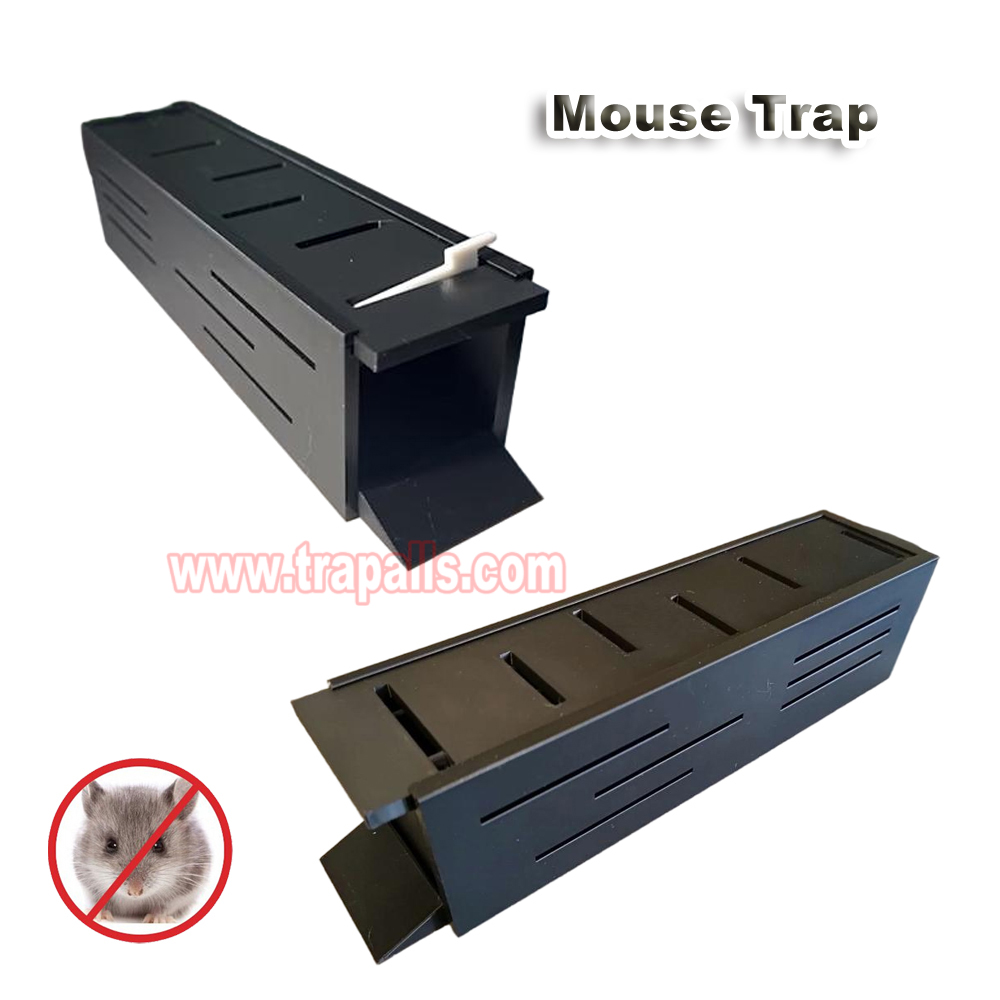 Indoor Warehouse Eco-Friendly Mice Trap with See Saw Mechanism Humane Live Catch Release Mouse Trap - Image 5