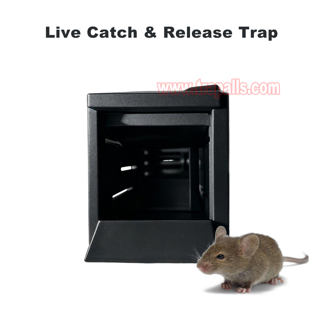 Indoor Warehouse Eco-Friendly Mice Trap with See Saw Mechanism Humane Live Catch Release Mouse Trap - Image 6