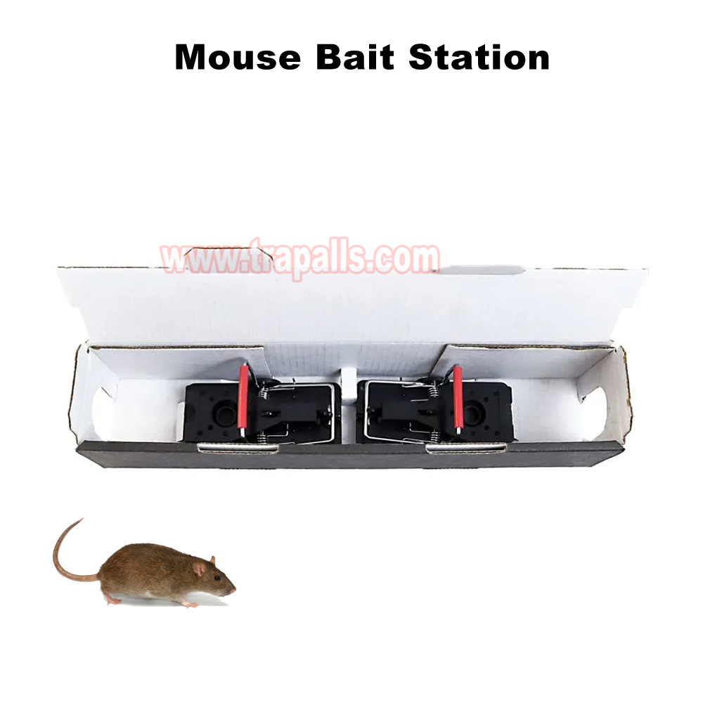 Indoor Warehouse Compatible with Snap Traps Glue Boards Tunnel Rodent Box Cardboard Mouse Bait Station - Image 8