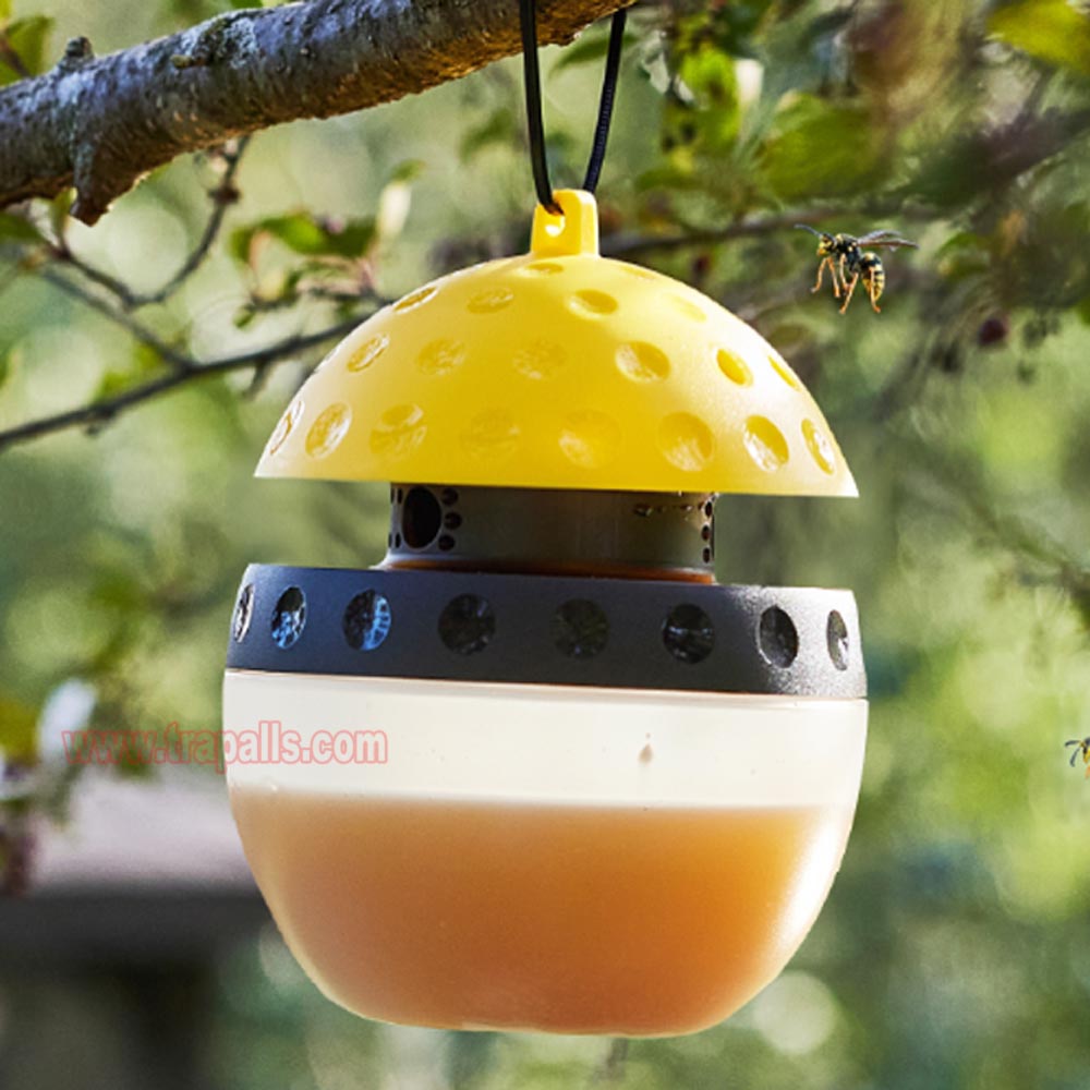 Outdoor Garden Hanging Pest Trap Hornet Control Yellow Jacket Catcher Wasp Trap - Image 11