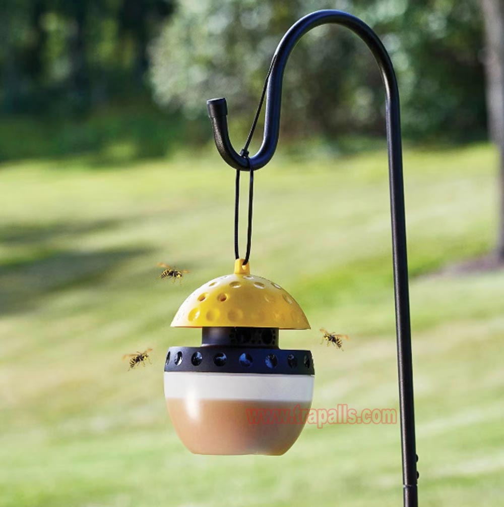 Outdoor Garden Hanging Pest Trap Hornet Control Yellow Jacket Catcher Wasp Trap - Image 12