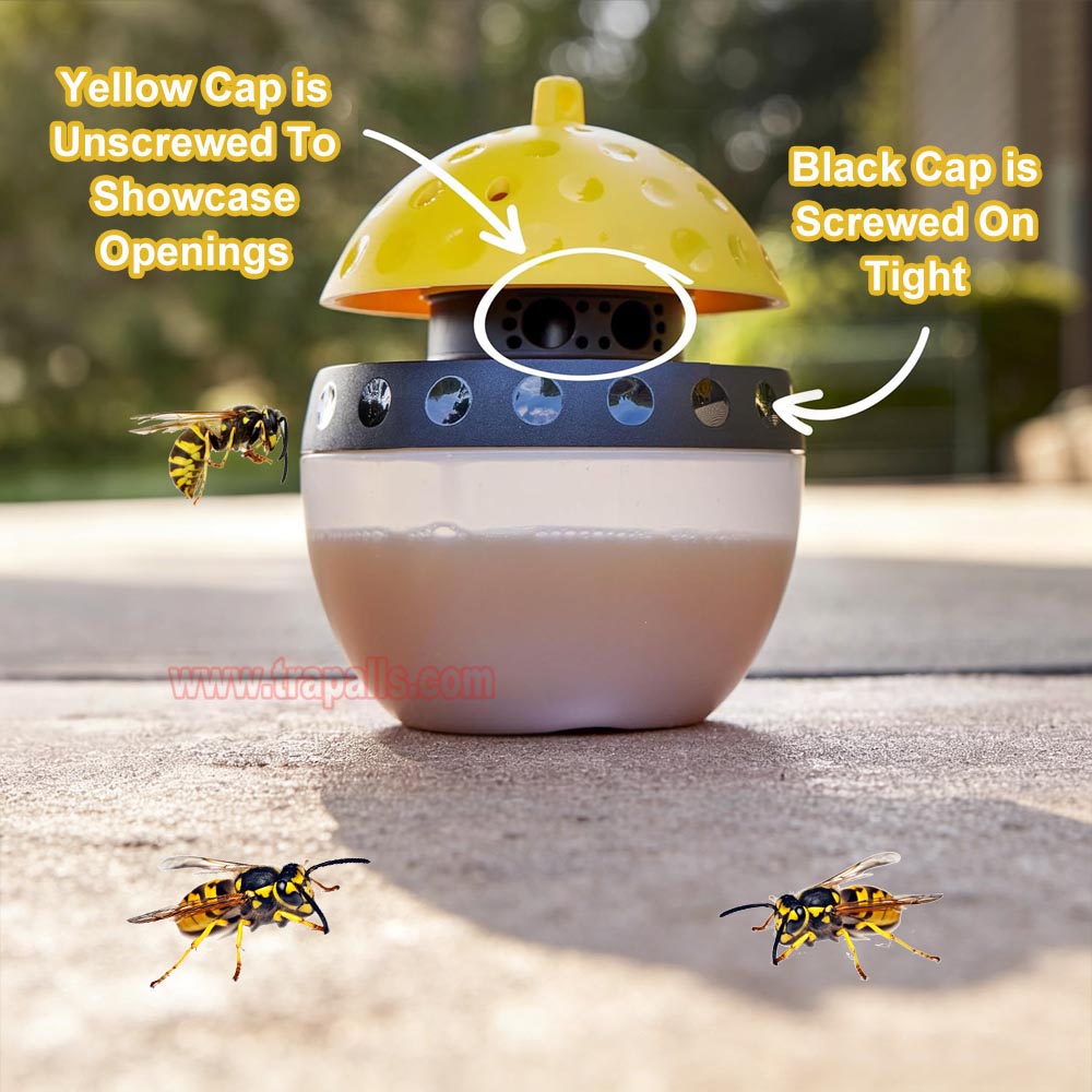 Outdoor Garden Hanging Pest Trap Hornet Control Yellow Jacket Catcher Wasp Trap - Image 6