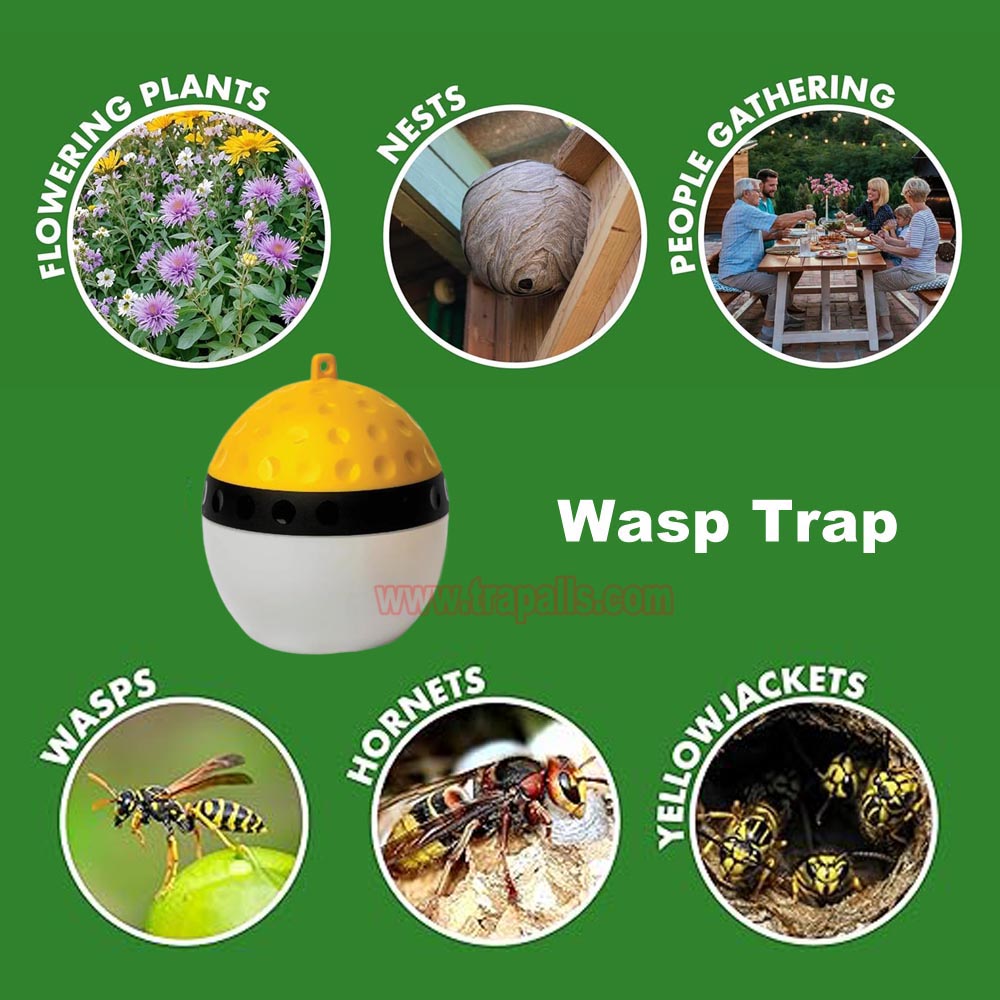 Outdoor Garden Hanging Pest Trap Hornet Control Yellow Jacket Catcher Wasp Trap - Image 7