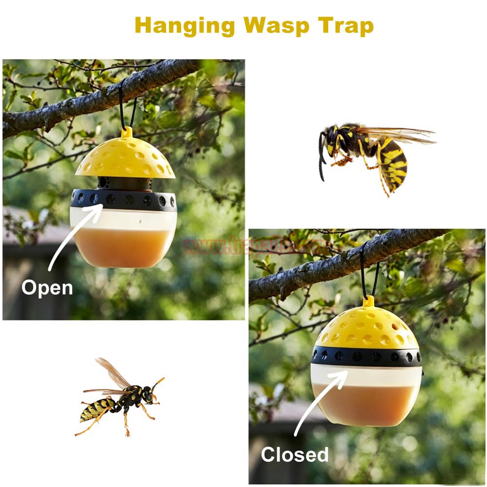 Outdoor Garden Hanging Pest Trap Hornet Control Yellow Jacket Catcher Wasp Trap - Image 9