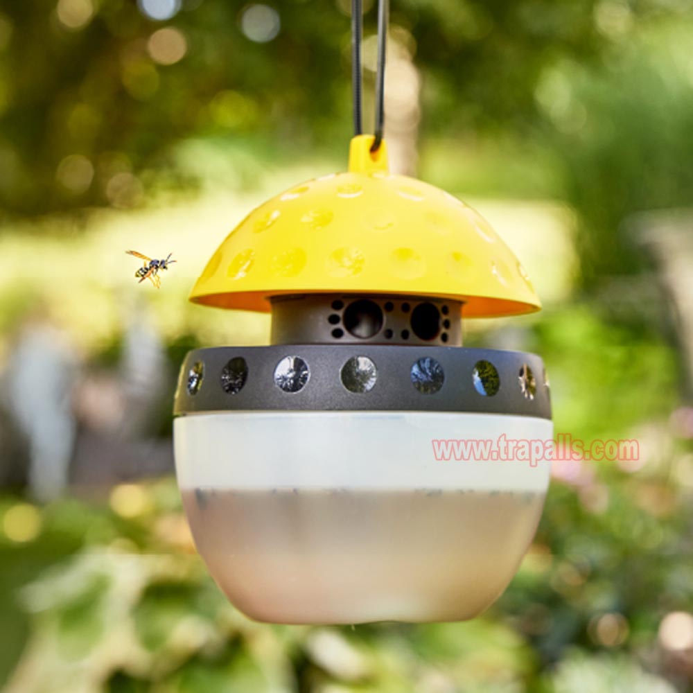 Outdoor Garden Hanging Pest Trap Hornet Control Yellow Jacket Catcher Wasp Trap - Image 10