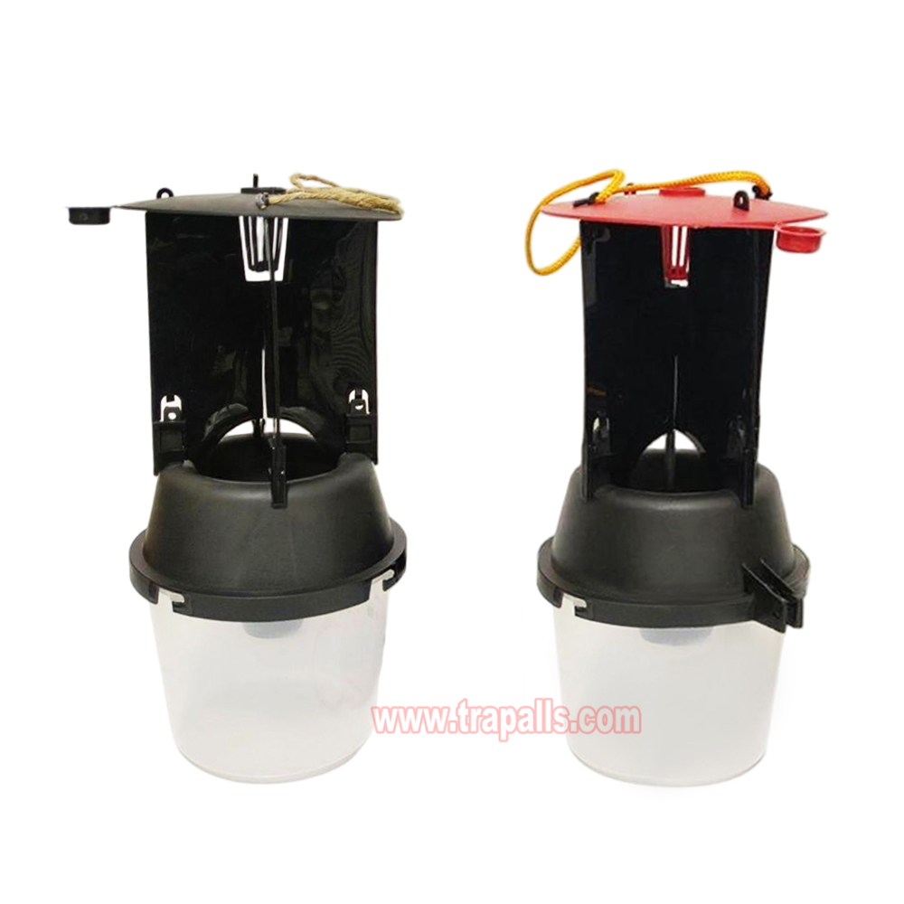 Outdoor Coconut Hanging Funnel Anti Escape Design Pest Control Rhynchophorus Ferrugineus Trap Red Palm Weevil Trap - Image 2