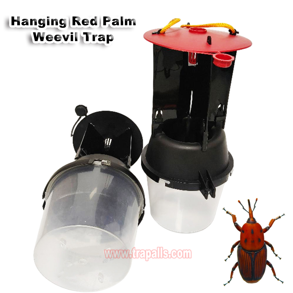 Outdoor Coconut Hanging Funnel Anti Escape Design Pest Control Rhynchophorus Ferrugineus Trap Red Palm Weevil Trap - Image 4