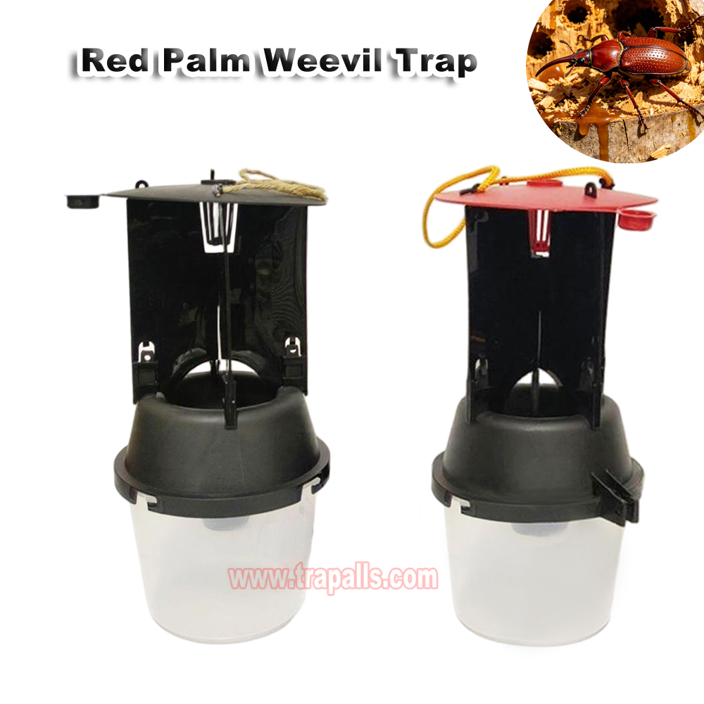 Outdoor Coconut Hanging Funnel Anti Escape Design Pest Control Rhynchophorus Ferrugineus Trap Red Palm Weevil Trap - Image 5