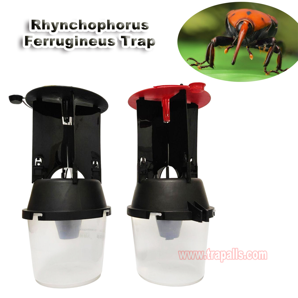 Outdoor Coconut Hanging Funnel Anti Escape Design Pest Control Rhynchophorus Ferrugineus Trap Red Palm Weevil Trap - Image 6
