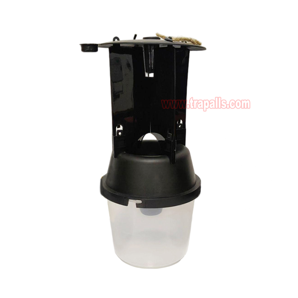 Outdoor Coconut Hanging Funnel Anti Escape Design Pest Control Rhynchophorus Ferrugineus Trap Red Palm Weevil Trap - Image 7