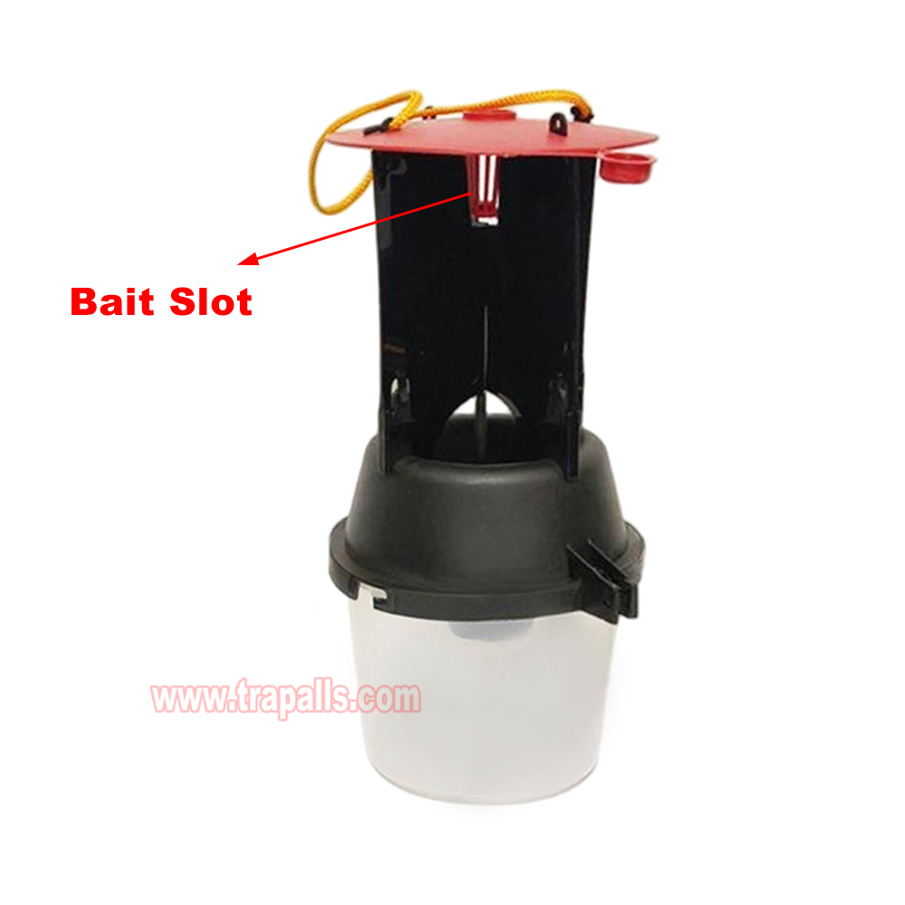 Outdoor Coconut Hanging Funnel Anti Escape Design Pest Control Rhynchophorus Ferrugineus Trap Red Palm Weevil Trap - Image 8