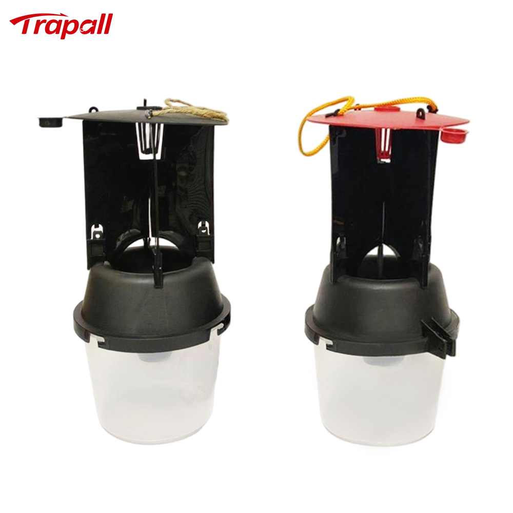 Outdoor Coconut Hanging Funnel Anti Escape Design Pest Control Rhynchophorus Ferrugineus Trap Red Palm Weevil Trap