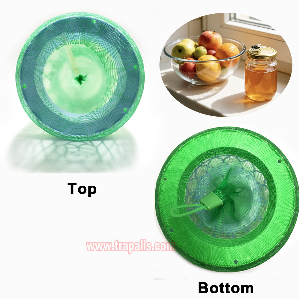 Outdoor Garden Reusable Escape-Proof Funnel Fly Catcher with Bait Tray Hanging Fly Trap Cage - Image 10