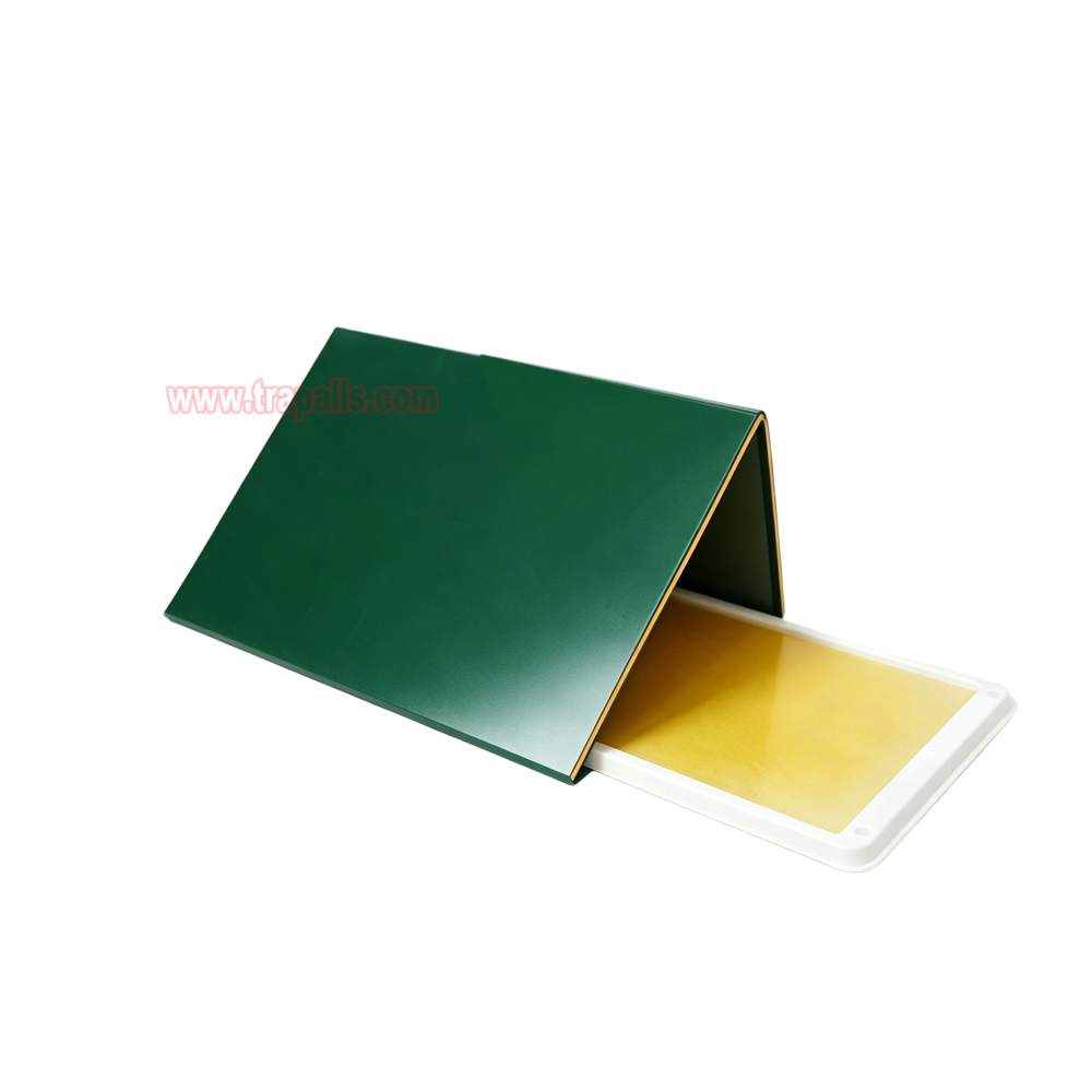 Outdoor Warehouse Rodent Control Triangular Tunnel Mouse Trap Cover High-tack Rodent Glue Board Mouse Trap - Image 2