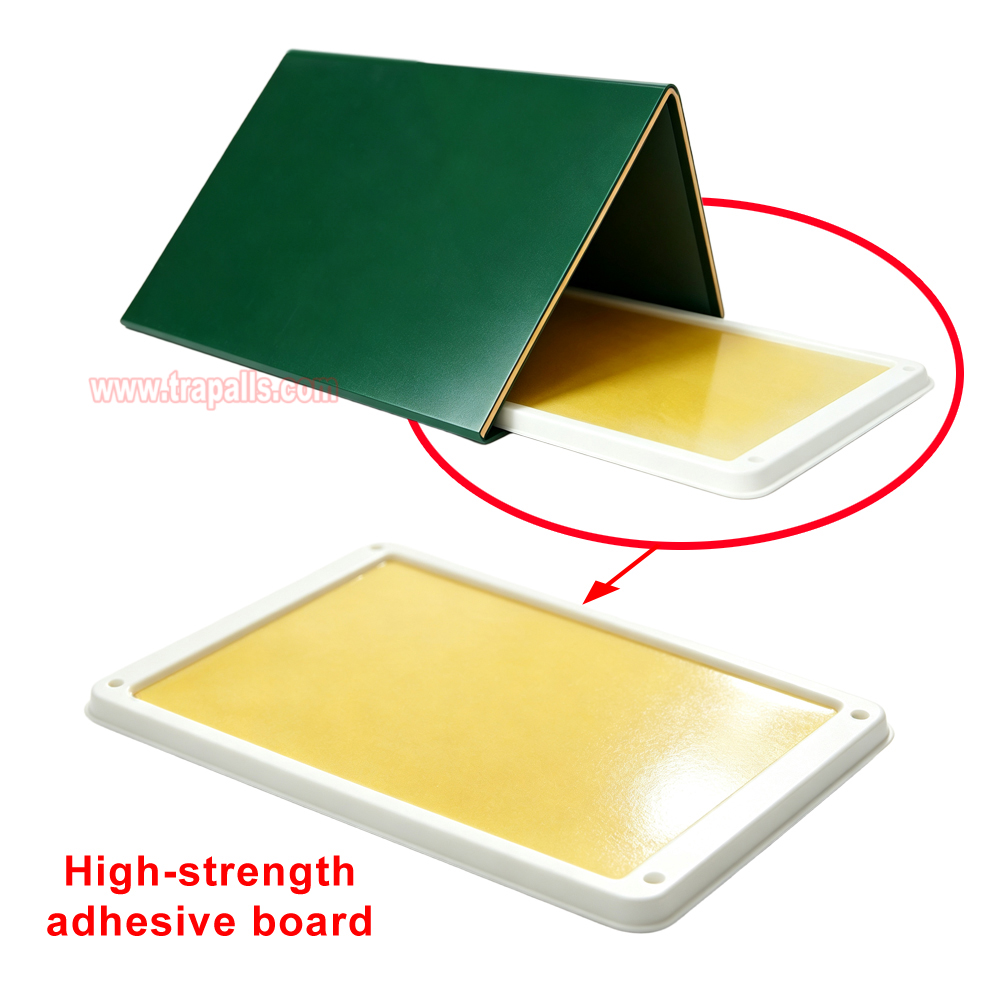 Outdoor Warehouse Rodent Control Triangular Tunnel Mouse Trap Cover High-tack Rodent Glue Board Mouse Trap - Image 4