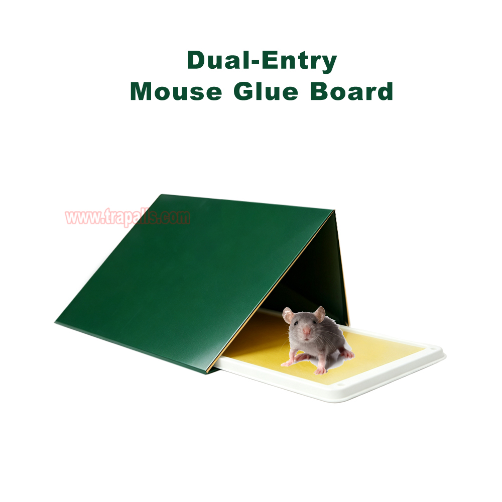 Outdoor Warehouse Rodent Control Triangular Tunnel Mouse Trap Cover High-tack Rodent Glue Board Mouse Trap - Image 5