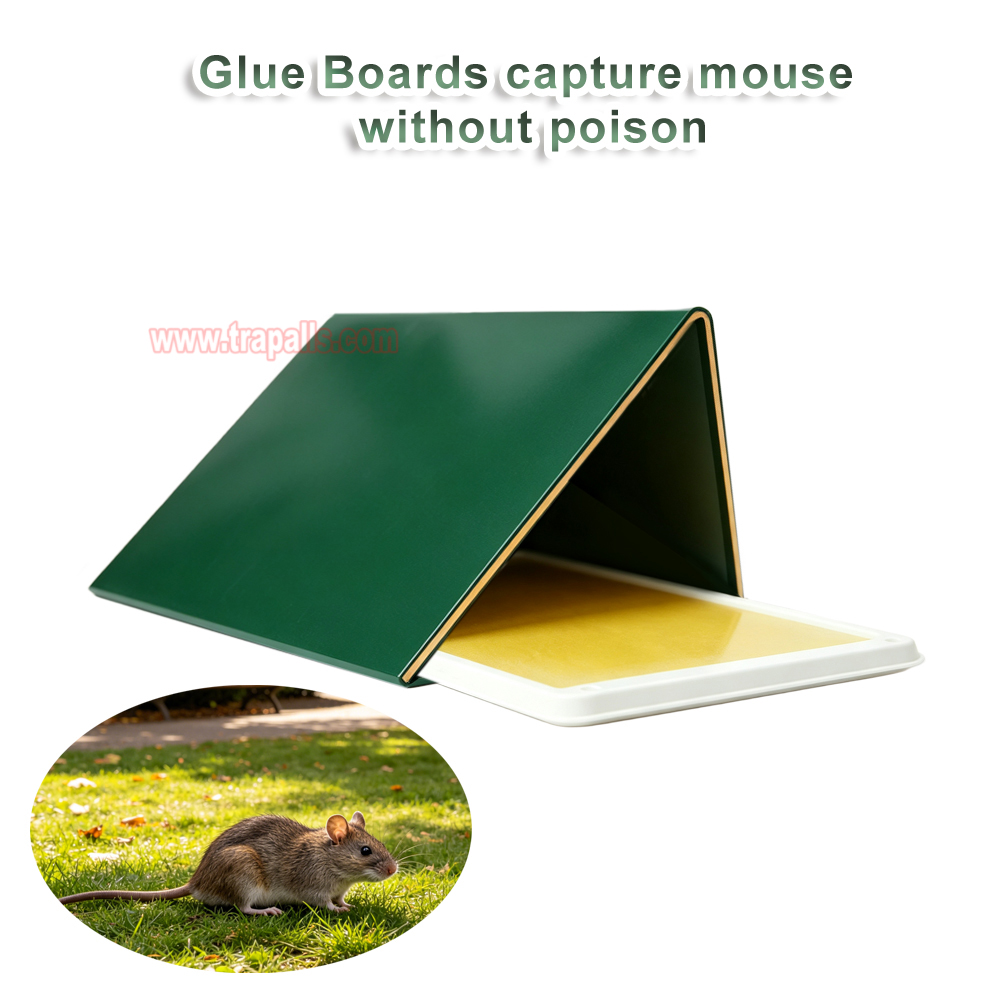 Outdoor Warehouse Rodent Control Triangular Tunnel Mouse Trap Cover High-tack Rodent Glue Board Mouse Trap - Image 6