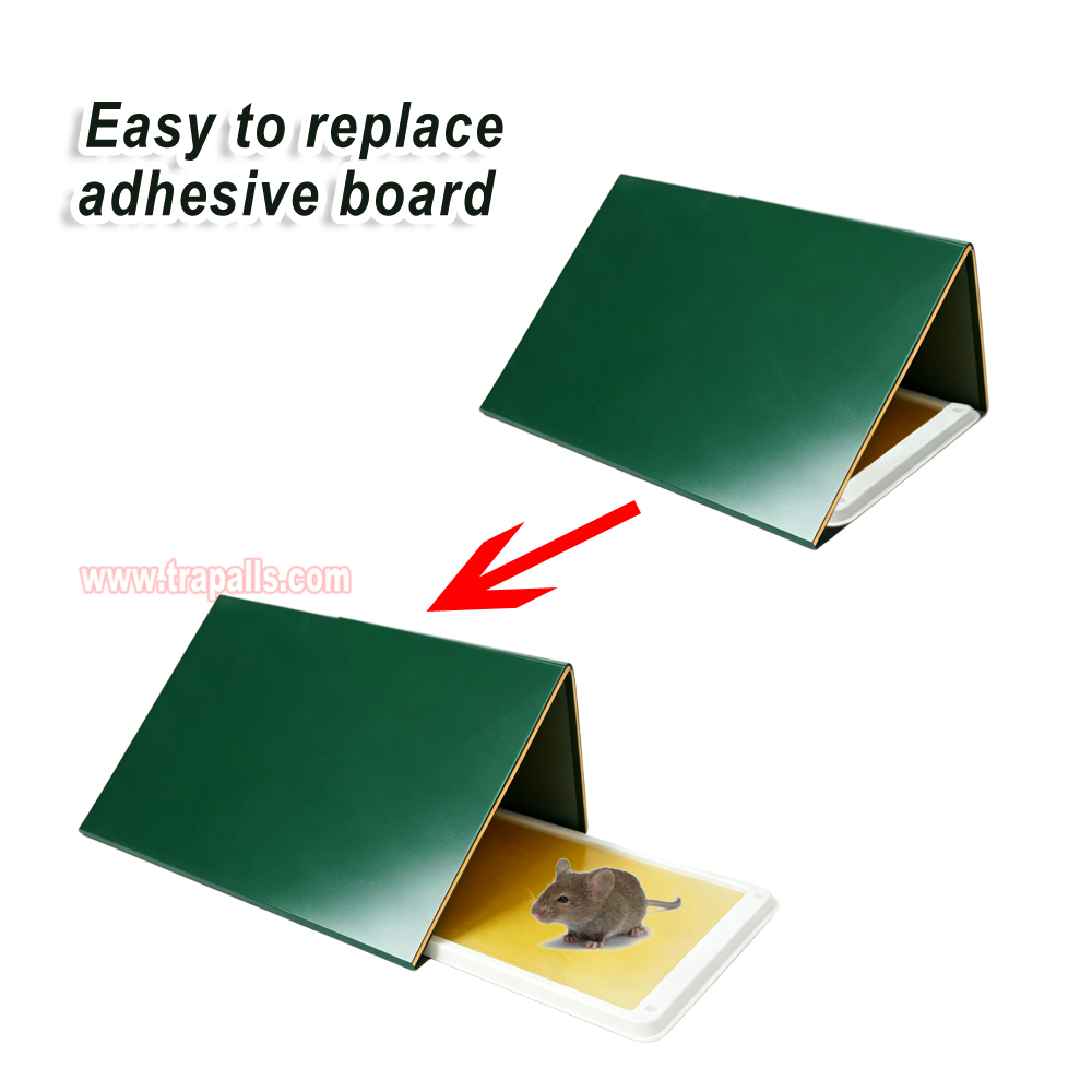 Outdoor Warehouse Rodent Control Triangular Tunnel Mouse Trap Cover High-tack Rodent Glue Board Mouse Trap - Image 7