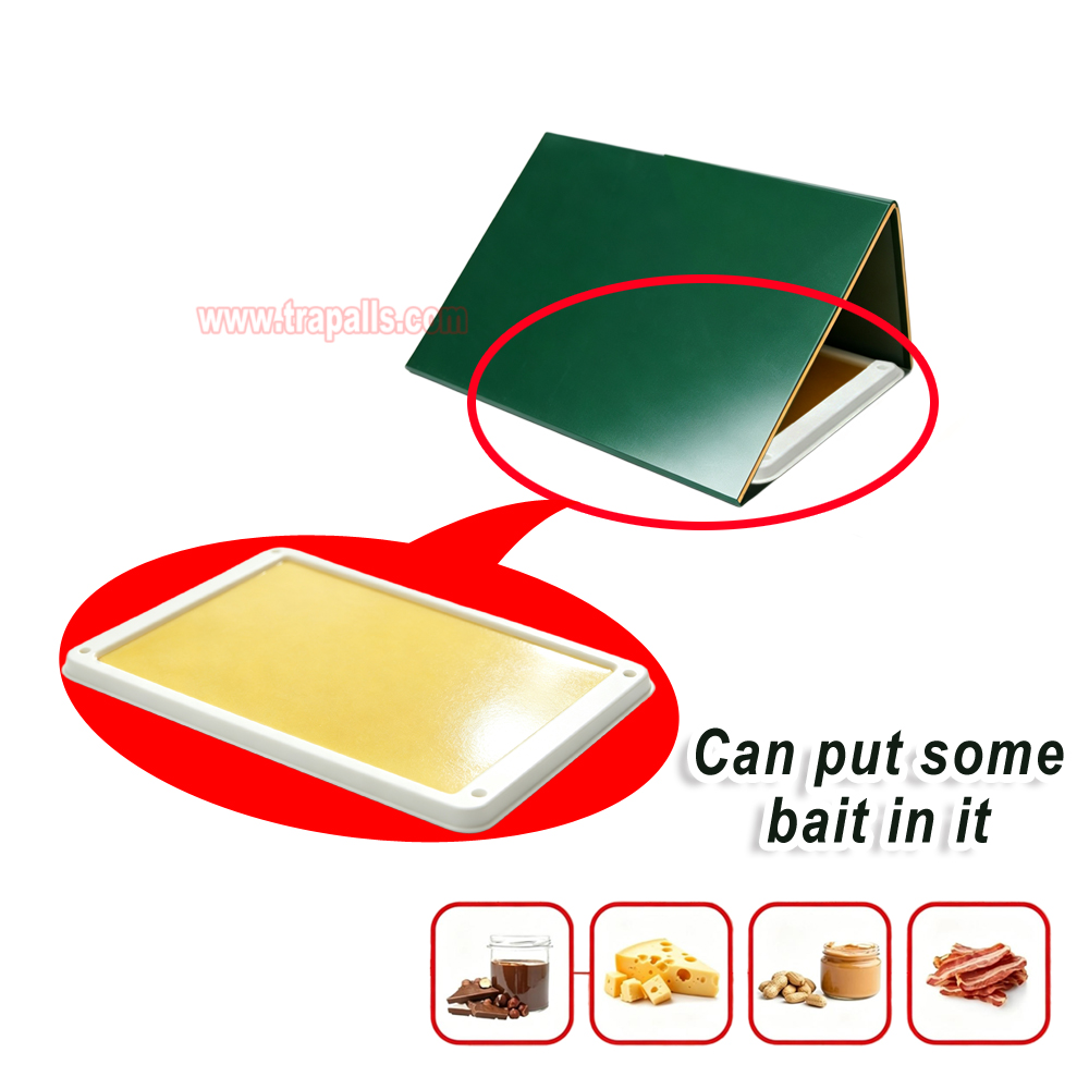 Outdoor Warehouse Rodent Control Triangular Tunnel Mouse Trap Cover High-tack Rodent Glue Board Mouse Trap - Image 8