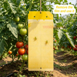 Greenhouse Orchard Double-Sided Waterproof Adhesive Aphid Trap Sticky Glue Pest Board Trap - Image 12