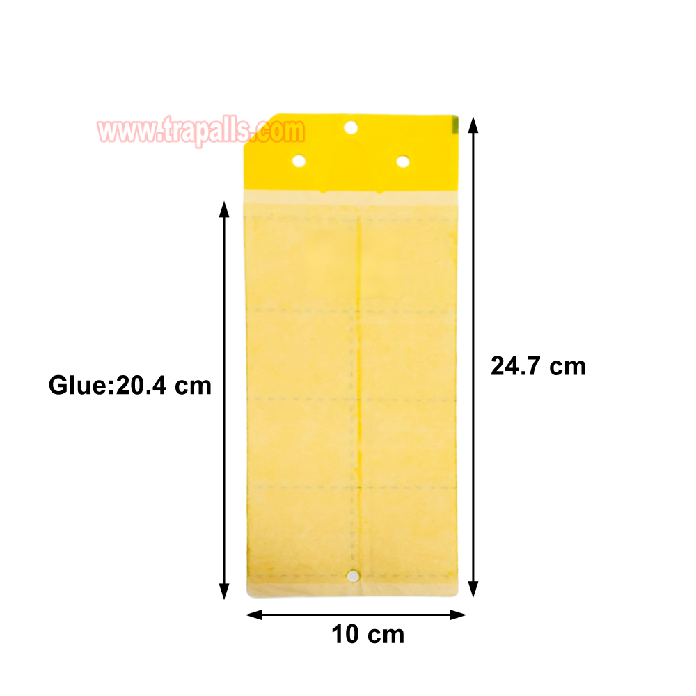 Greenhouse Orchard Double-Sided Waterproof Adhesive Aphid Trap Sticky Glue Pest Board Trap - Image 3